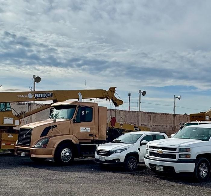 WhatsApp Image 2025-12-30 at 9.37.27 AM