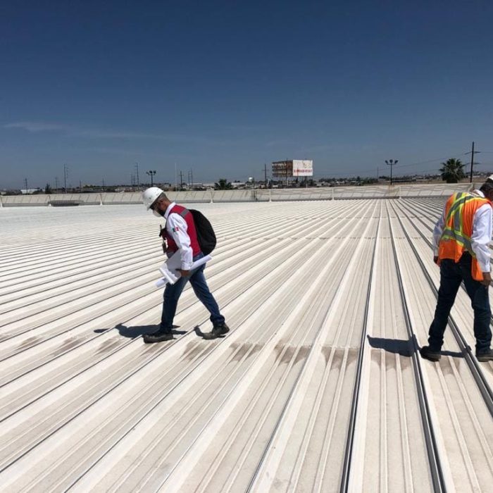 WhatsApp Image 2026-03-10 at 2.47.39 PM